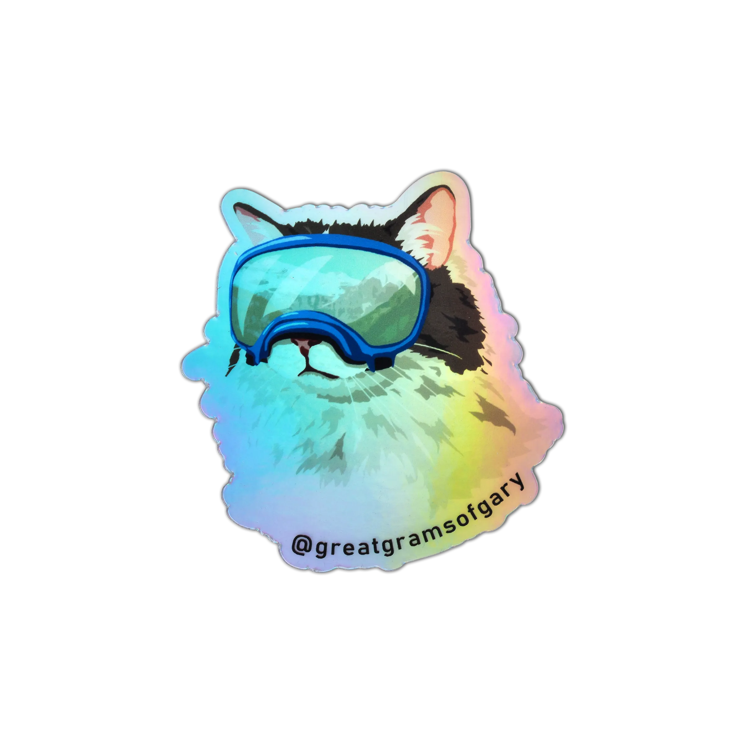 GSO Holographic Grumpy Fish Sticker