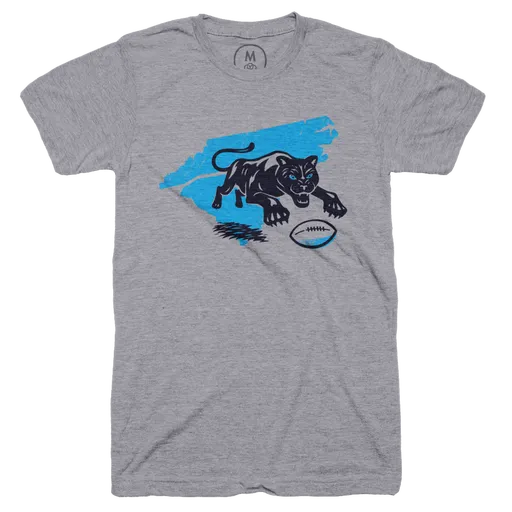 Carolina Panthers Retro Football Unisex T-Shirt