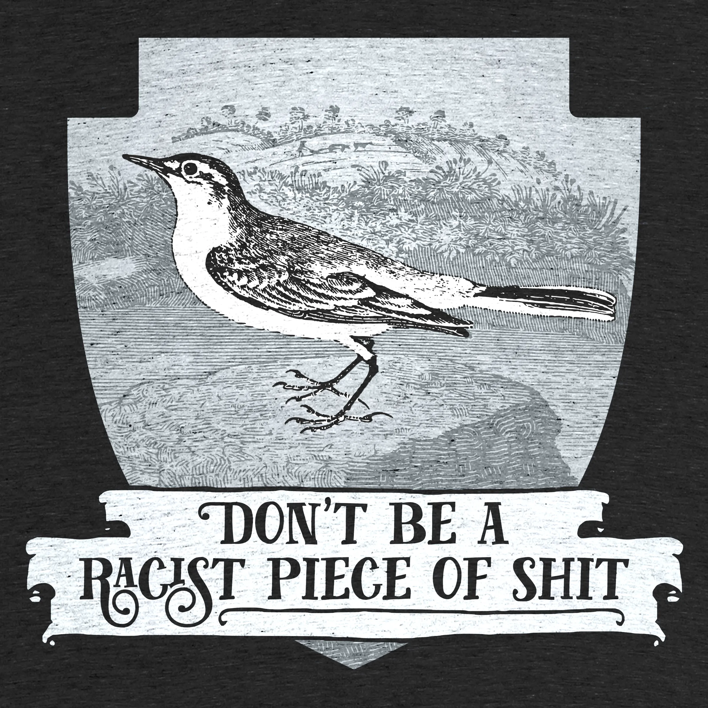 No T-Shirt – EFFIN BIRDS