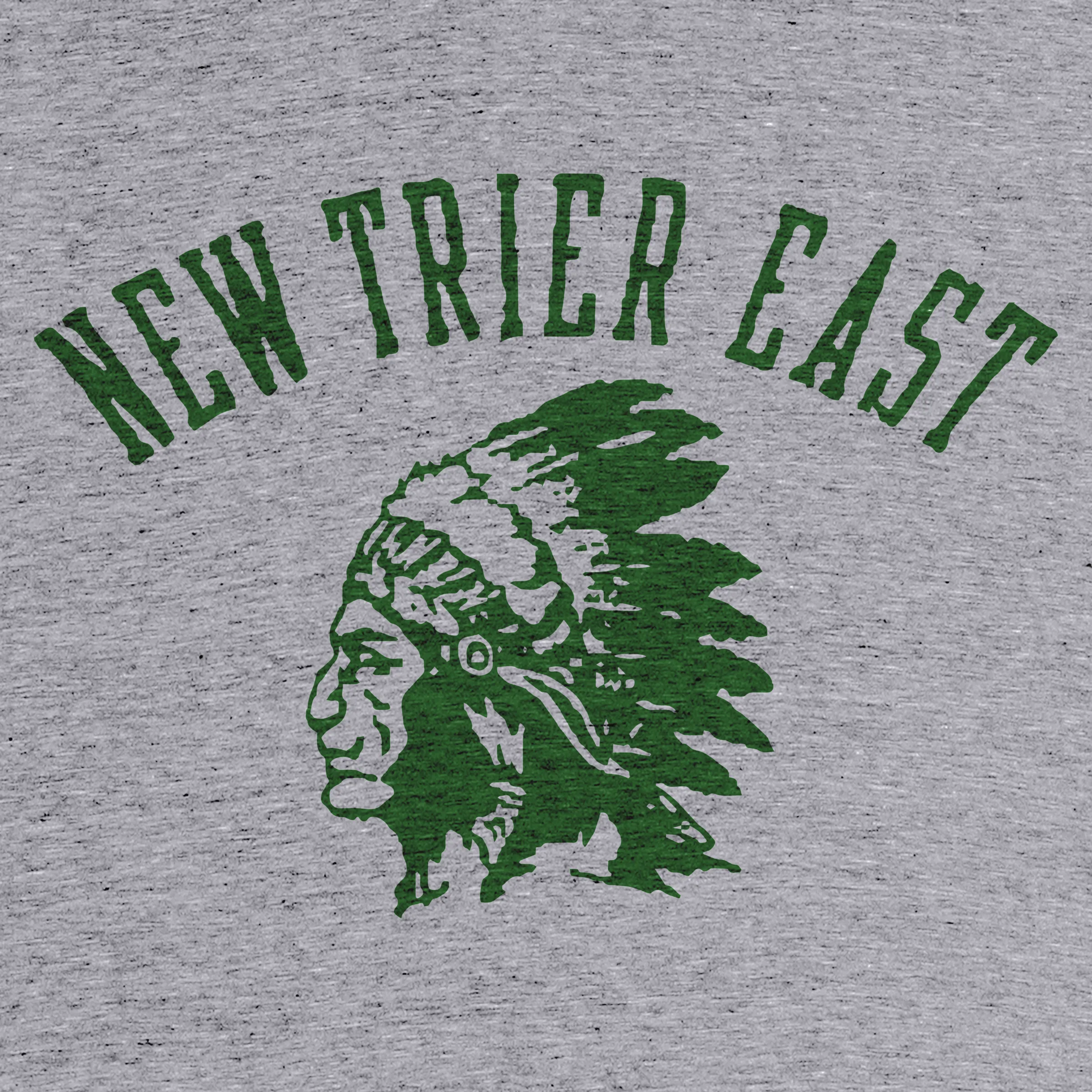 NT HOODIE ~ NEW TRIER HIGH SCHOOL ~ unisex hoodie ~ classic fit