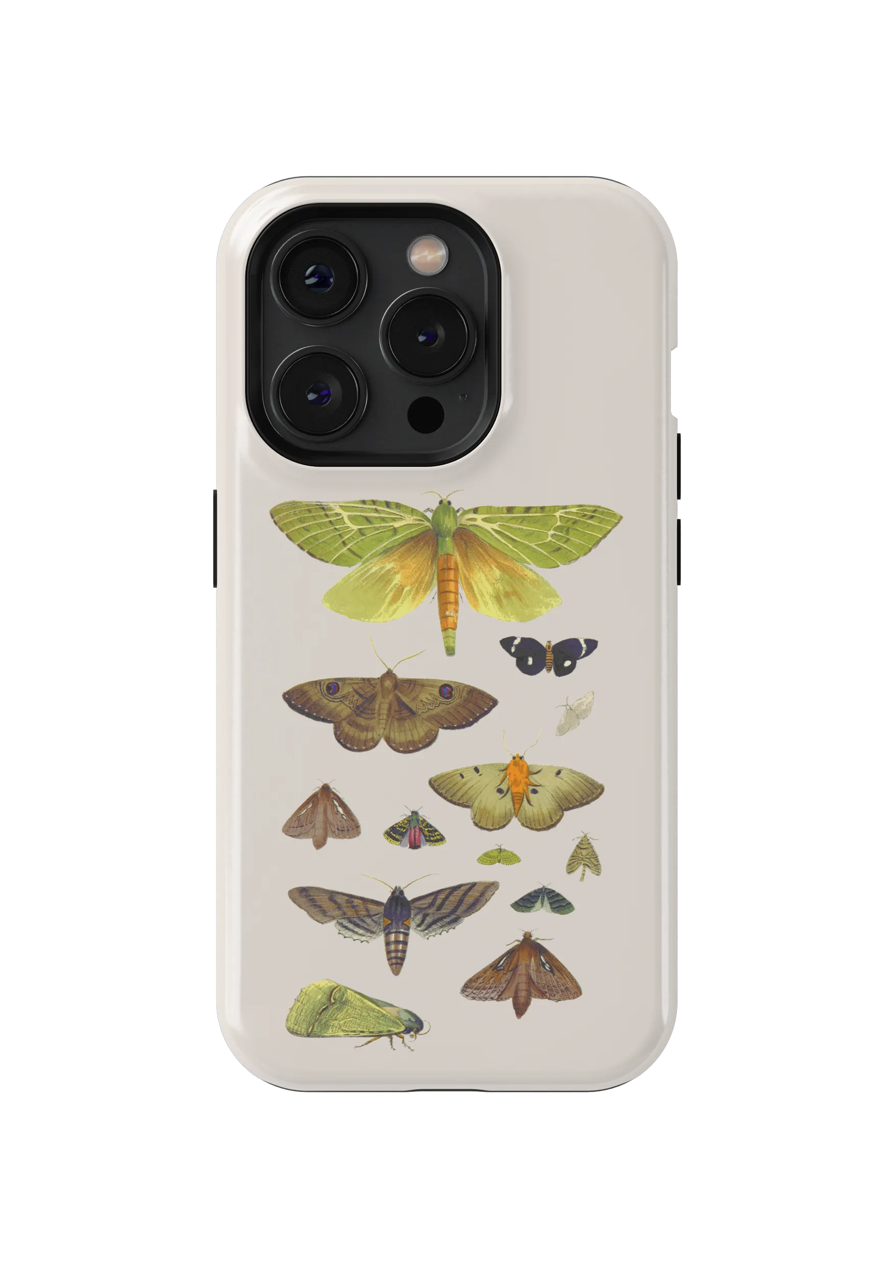 Cotton Fabric, Naturalistic Fluttering Moths, Birds & Curious